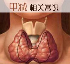 为什么会患上甲减疾病?